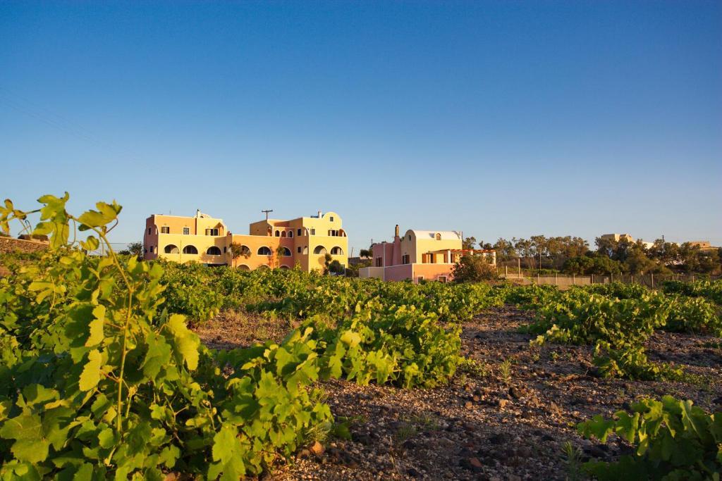 Alisaxni Resort Akrotírion Exterior foto